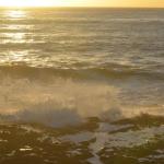 CambriaCN_161 (October 25, 2014)